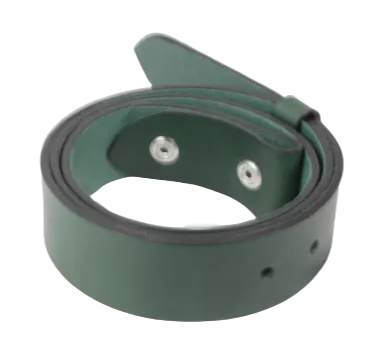 Interchangeable 1 Inch (25mm) Leather Belt Strap in Green